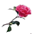 camelia.gif (1653 bytes)