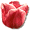 tulpan.gif (1154 bytes)
